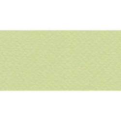 Бумага для пастели № 11 салатовый теплый Tiziano, артикул 52811011