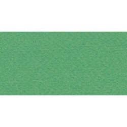 Бумага для пастели № 12 зеленый Tiziano, артикул 52811012