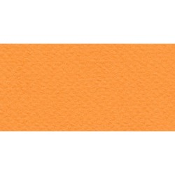 Бумага для пастели № 21 оранжевый Tiziano, артикул 52811021