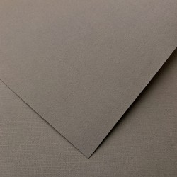 Бумага для пастели коричневый 10 листов 35х50 см Palazzo, артикул БРА-В3-10