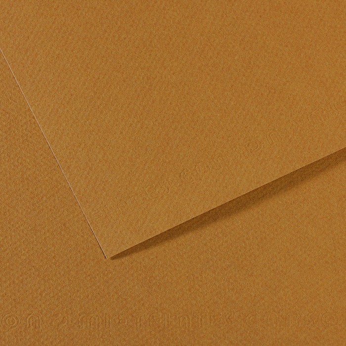 Бумага для пастели №336 коричневый песчаный, Mi-Teintes, 50х65 см, артикул 31032S097