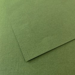 Бумага для пастели тёмно-зеленый  10 листов 35х50 см Palazzo, артикул БPDJ-B3-10