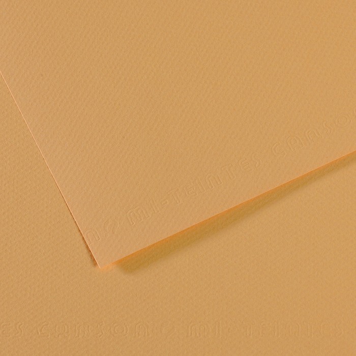 Бумага для пастели №340 бежевый светлый, Mi-Teintes, 50х65 см, артикул 31032S098