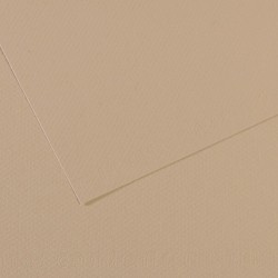 Бумага для пастели №343 серо-бежевый, Mi-Teintes, 50х65 см, артикул 31032S099