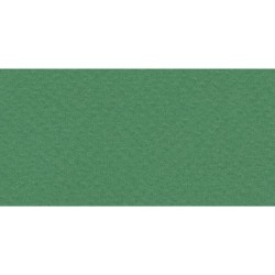 Бумага для пастели № 37 зеленый темный Tiziano, артикул 52811037