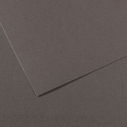 Бумага для пастели №345 серый темный, Mi-Teintes, 50х65 см, артикул 31032S100