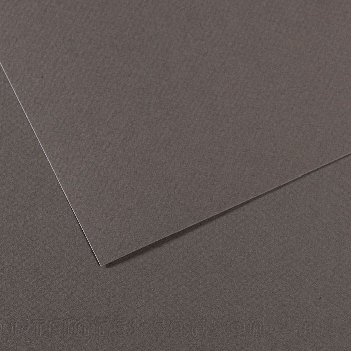 Бумага для пастели №345 серый темный, Mi-Teintes, 50х65 см, артикул 31032S100