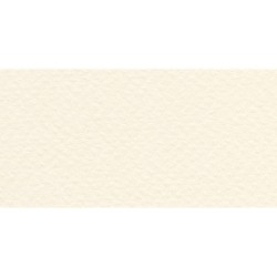 Бумага для пастели № 40 бледно-кремовый Tiziano, артикул 52811040