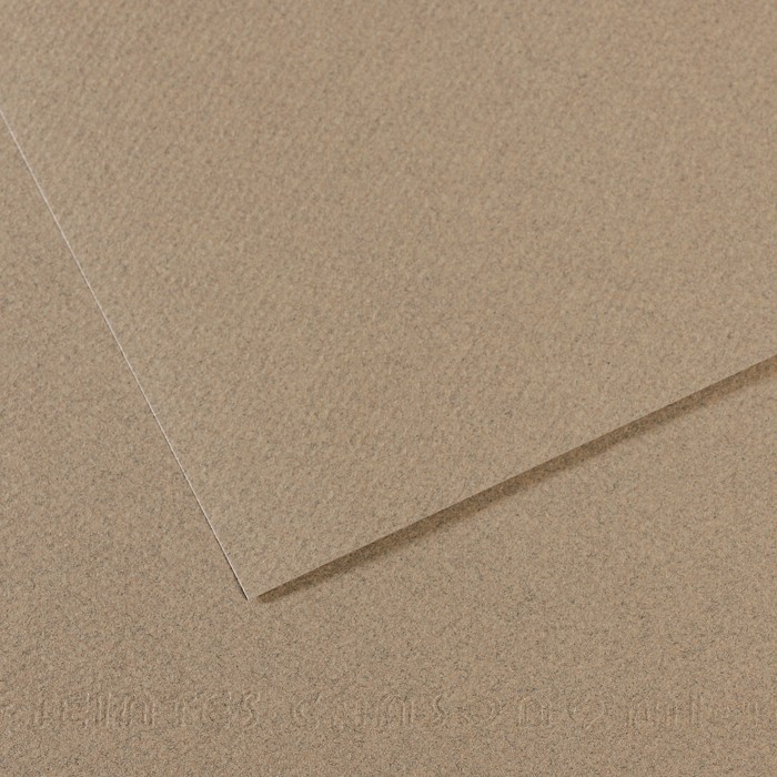 Бумага для пастели №429 серый фетр, Mi-Teintes, 50х65 см, артикул 31033S119
