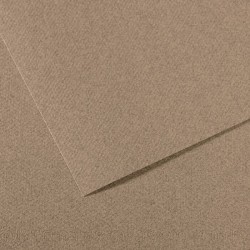 Бумага для пастели №431 серый стальной, Mi-Teintes, 50х65 см, артикул 31033S120