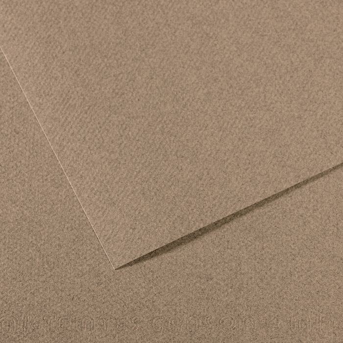 Бумага для пастели №431 серый стальной, Mi-Teintes, 50х65 см, артикул 31033S120