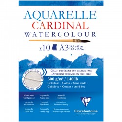 Альбом 10 листов Cardinal, А3 (297х420 мм), 300 гр/м2, 30% хлопок, крупное зерно/Torchon, артикул 96184