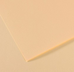 Бумага для пастели №111 слоновая кость, Mi-Teintes, А4 (210х297 мм), артикул 31032S007