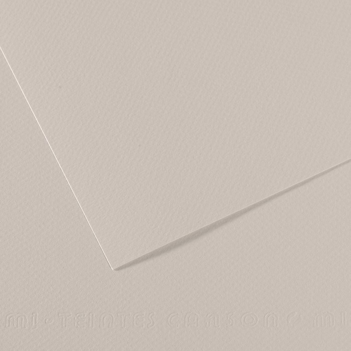 Бумага для пастели №120 серый жемчужный, Mi-Teintes, А4 (210х297 мм), артикул 31032S009