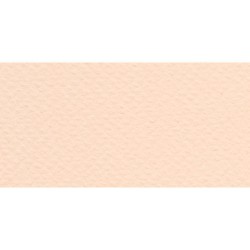 Бумага для пастели № 25 розовый Tiziano, артикул 52551025