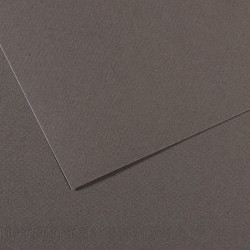 Бумага для пастели №345 серый темный, Mi-Teintes, А4 (210х297 мм), артикул 31032S015