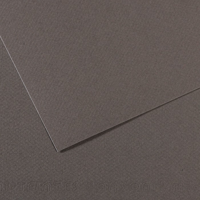 Бумага для пастели №345 серый темный, Mi-Teintes, А4 (210х297 мм), артикул 31032S015