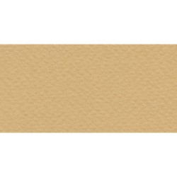 Бумага для пастели № 06 песочный Tiziano, артикул 21297106