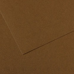 Бумага для пастели №501 коричневый табак, Mi-Teintes, А4 (210х297 мм), артикул 31033S037