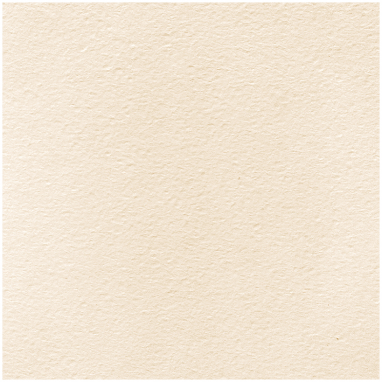 Акварельная бумага А2, 200г/м2, молочная, крупное зерно, 1 лист, Лилия Холдинг