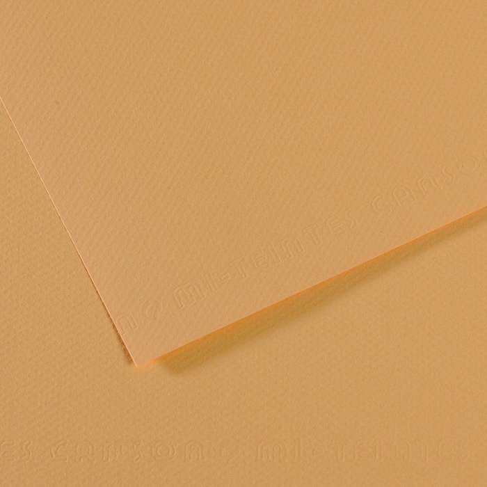 Бумага для пастели №340 конопляный Mi-Teintes, артикул 200321044