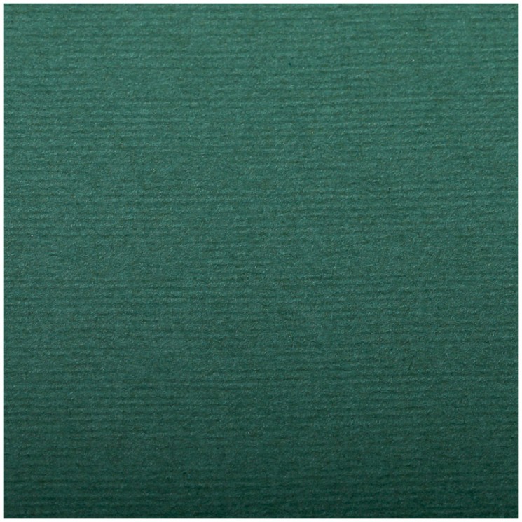 Бумага для пастели №498 темно-зеленый, размер 50х65 см, Ingres, 130 гр/м2, Clairefontaine, артикул 93498