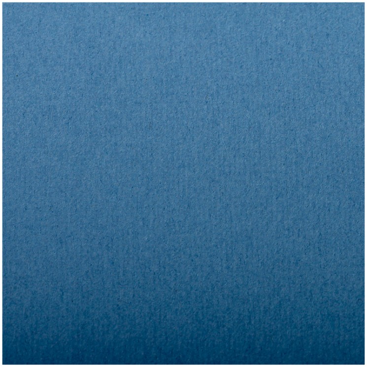 Бумага для пастели №501 синий, размер 50х65 см, Ingres, 130 гр/м2, Clairefontaine, артикул 93501