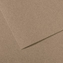 Бумага для пастели №431 серый с разводами Mi-Teintes, артикул 200331444