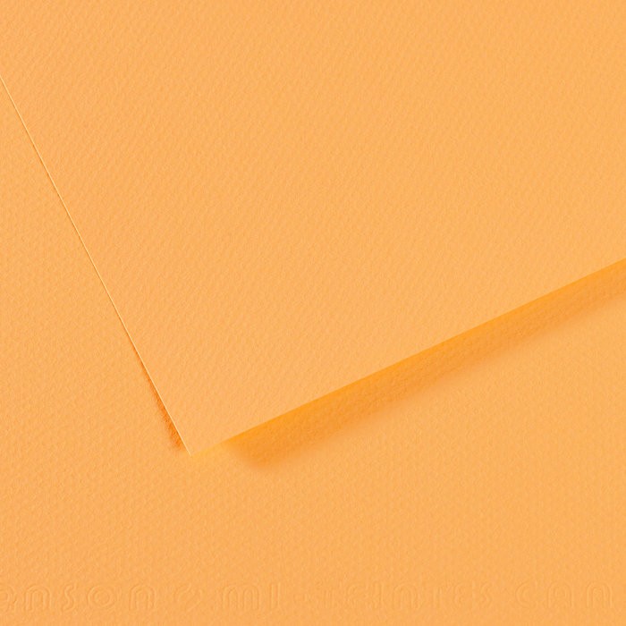 Бумага для пастели №470 кукурузный Mi-Teintes, артикул 200321144
