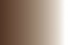 Гуашь Марс коричневый темный 40мл ГАММА, артикул 020В040606
