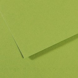 Бумага для пастели №475 зеленое яблоко Mi-Teintes, артикул 200321154