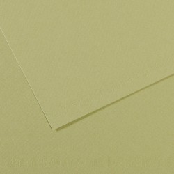 Бумага для пастели №480 светло-зеленый Mi-Teintes, артикул 200321164