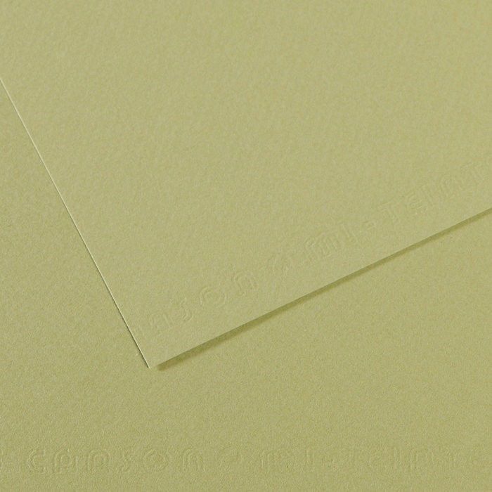 Бумага для пастели №480 светло-зеленый Mi-Teintes, артикул 31032S107