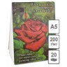 Планшет 20 листов Palazzo Алая роза, А5 (148х210 мм), 200 гр/м2, скорлупа, артикул ПЛ-7966