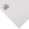 Бумага для пастели №010 белый, размер 50х70 см, Pastelmat, 360 гр/м2, Clairefontaine, артикул 96010