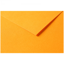 Бумага цветная №173 оранжевый, размер 50х65 см, Tulipe, 160 гр/м2, Clairefontaine, артикул 960173