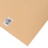 Бумага для пастели №022 лютик, размер 50х70 см, Pastelmat, 360 гр/м2, Clairefontaine, артикул 96022