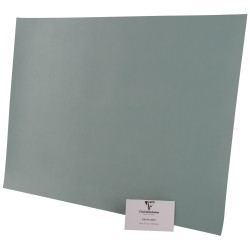 Бумага для пастели №157 светло-зеленый, размер 50х70 см, Pastelmat, 360 гр/м2, Clairefontaine, артикул 96157