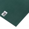 Бумага для пастели №168 темно-зеленый, размер 50х70 см, Pastelmat, 360 гр/м2, Clairefontaine, артикул 96168