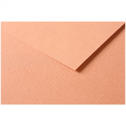 Бумага цветная №189 рыжий, размер 50х65 см, Tulipe, 160 гр/м2, Clairefontaine, артикул 960189