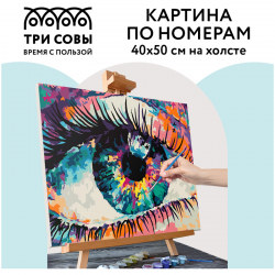 Картина по номерам "Волшебство взгляда", 40х50, с акриловыми красками и кистями на холсте